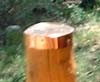 Copper Deck Cap Protected with Everbrite Protective Coating.